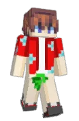 Dekkig