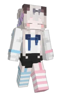 Front of Minecraft skin