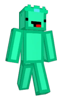 Front of Suplized's skin