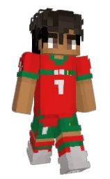 Custom render preview