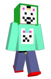 Skin preview