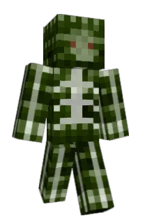 peepiscool's Minecraft skin