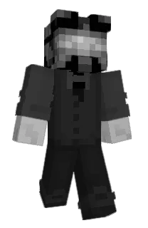PolarixGames's Minecraft skin