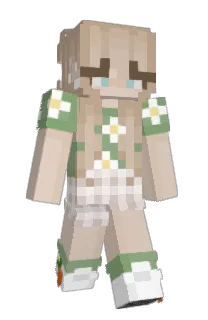 Front of BlondieDM's skin