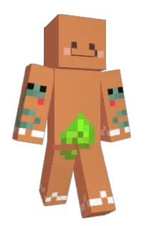 Front of W0NEE's skin