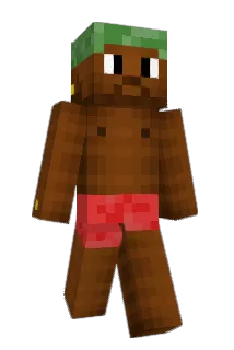 ceb110 Minecraft avatar full body