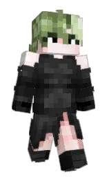 Slim Minecraft skin