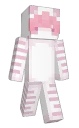 Back of Minecraft skin