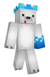 Front of Polo_360's skin