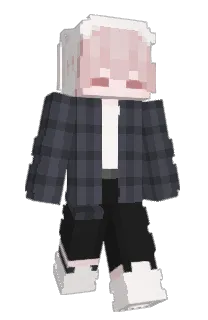 Wildfalers's Minecraft skin