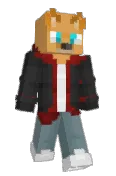 _tomer_