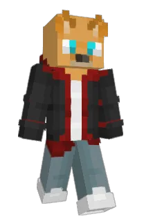Front of _tomer_'s skin