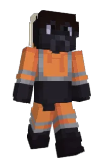 Front of elifent's skin