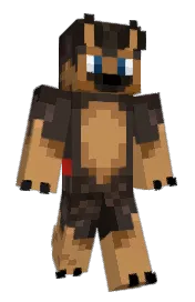 Skin preview
