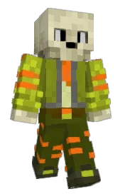 Skin preview
