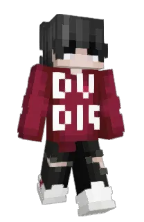 Front of Minecraft skin