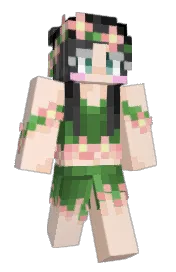 Skin preview