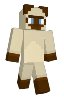 Front of Minecraft skin