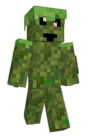 Skin preview