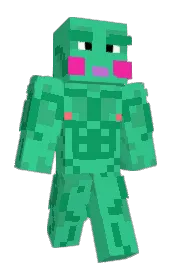 Skin preview