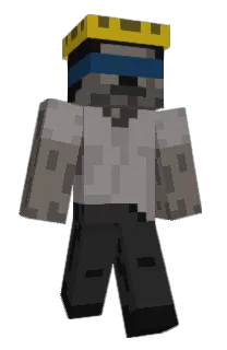 Lifehanky's Minecraft skin