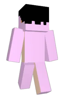 ceh1216 Minecraft avatar full body