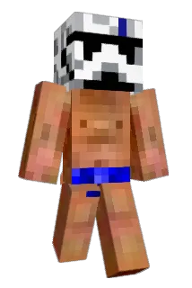 celeg2005 Minecraft avatar full body