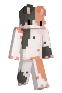 celinesmc Minecraft avatar full body