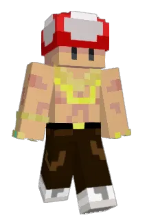 cenamor Minecraft avatar full body