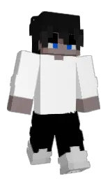 wild sand and black Minecraft skin — Slim model — first worn by z4xq