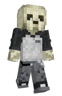 Front of Straaix's skin