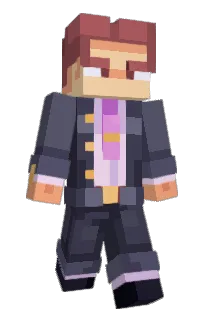 Front of MicroMember's skin