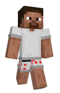 Front of Minecraft skin