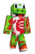 YoshiFly