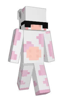 Front of prita's skin