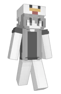 Front of eswi's skin
