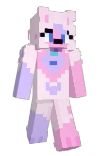 Front of v109's skin