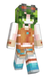 Skin preview