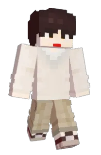 Front of IRU1220's skin