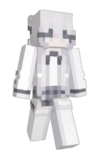 Front of HD1's skin