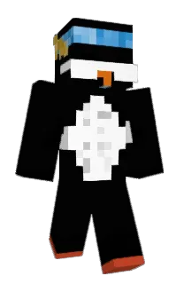 Front of S3wc10s's skin