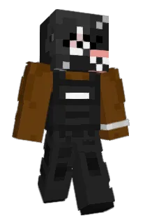 Front of InParis's skin