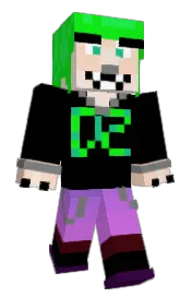 Skin preview