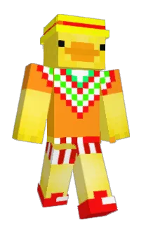 Front of Schmiit's skin