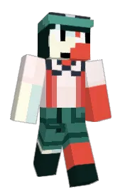 Skin preview