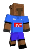 Fortnite_Skibidi
