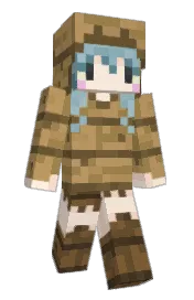 Skin preview