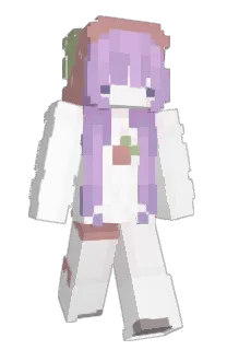 Front of AISFORTH's skin