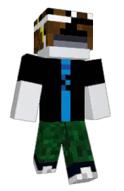Skin preview