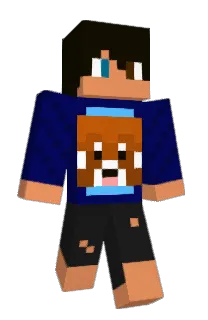 jerry917's Minecraft skin